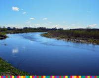 Rzeka Narew przepływająca przez wieś Doktorce
