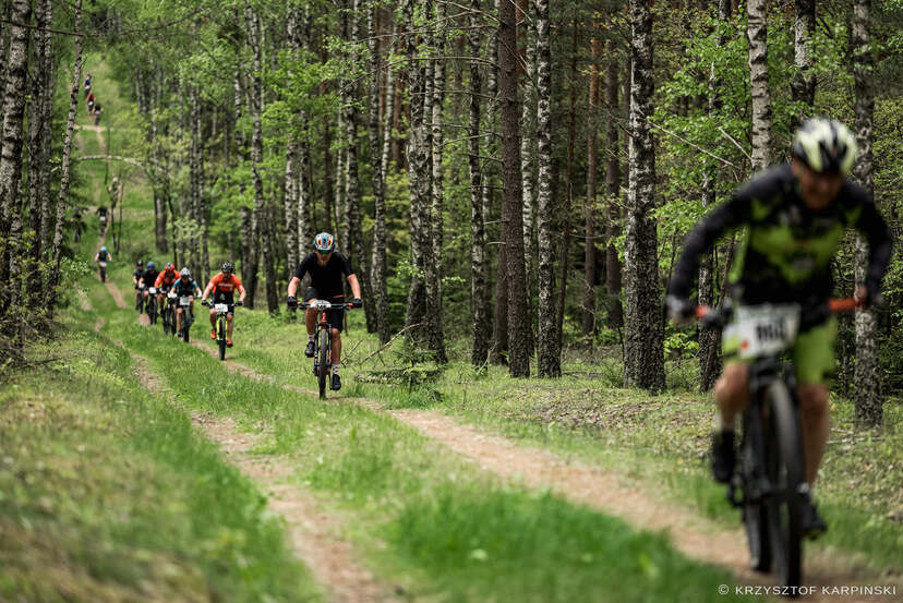 Rowerzyści jadący na rowerach przez leśną ścieżkę