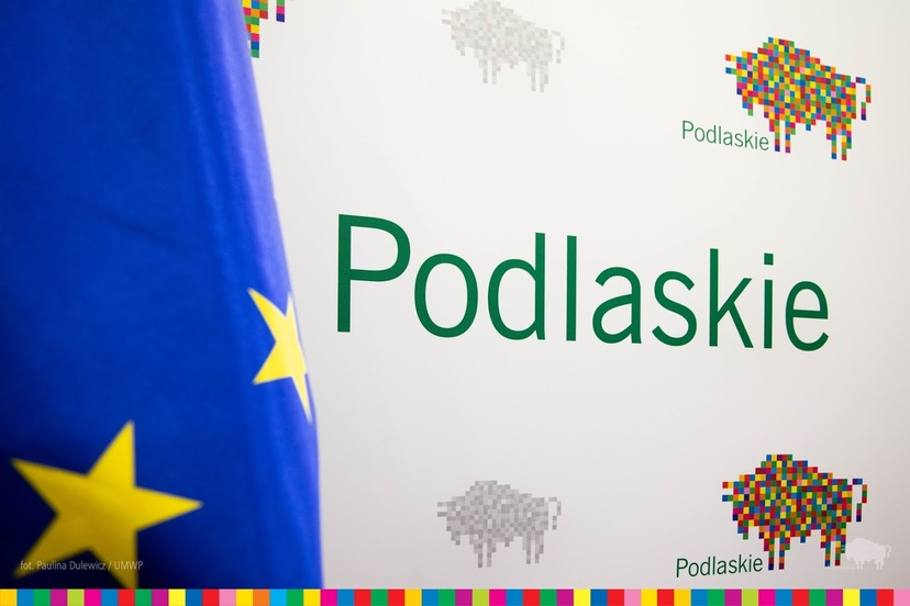 Napis: Podlaskie na ściance z miniaturowymi żubrami z pikseli. Po lewej fragment flagi unii europejskiej.