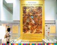 Widoczny olbrzymi baner wystawy. Przedstawione są na nim pszczoły w pasiece