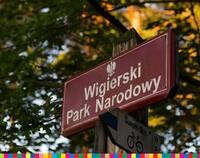 Tabliczka w lesie z napisem: Wigierski Park Narodowy.