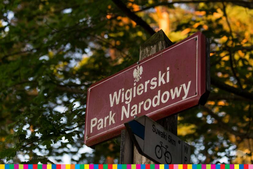 Tabliczka w lesie z napisem: Wigierski Park Narodowy.