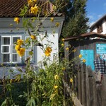 Żółte kwiaty na tle białego domu i plakatu z napisem Europejskie Dni Dziedzictwa