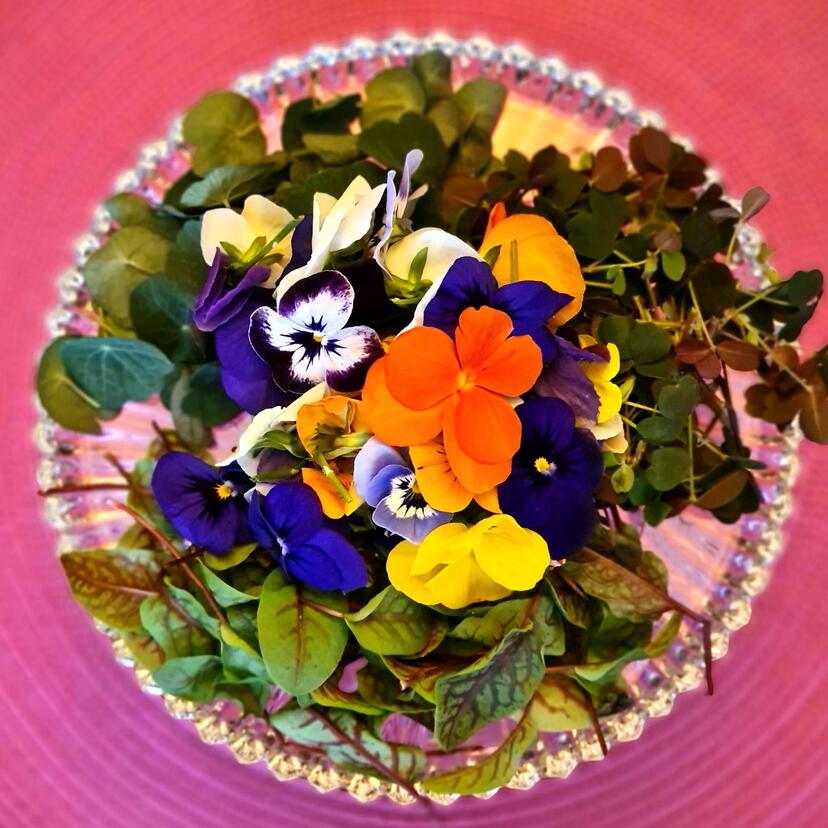 miks kwiatów na talerzu