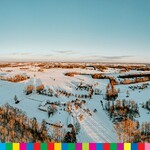 Zimowy krajobraz - Podlasie - las