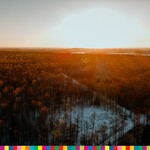 Zimowy krajobraz - Podlasie - las