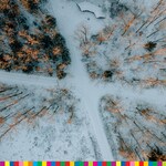 Zimowy krajobraz - Podlasie - las - skrzyżowanie dróg 
