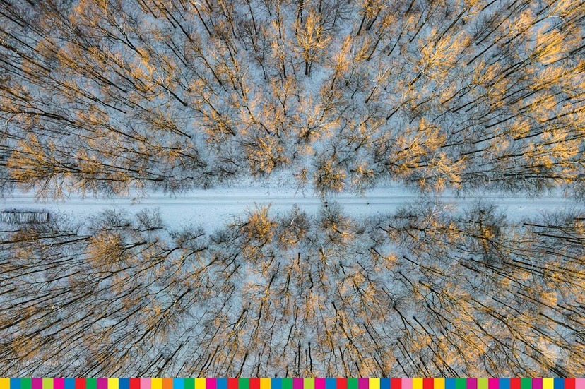 ośnieżona leśna ścieżka, zdjęcie zrobione z góry dronem